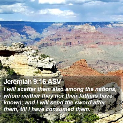 Jeremiah 9:16 ASV Bible Verse Image