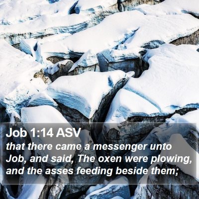 Job 1:14 ASV Bible Verse Image