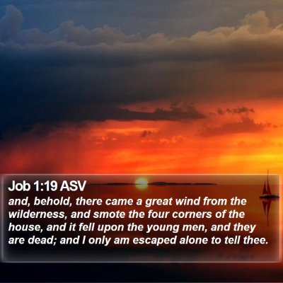 Job 1:19 ASV Bible Verse Image