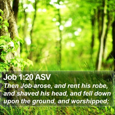 Job 1:20 ASV Bible Verse Image