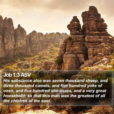 Job 1:3 ASV Bible Verse Image