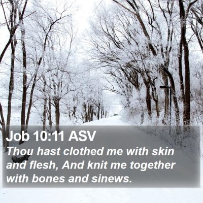 Job 10:11 ASV Bible Verse Image