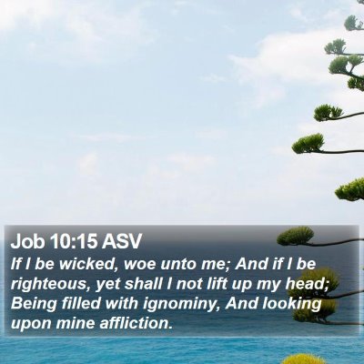 Job 10:15 ASV Bible Verse Image