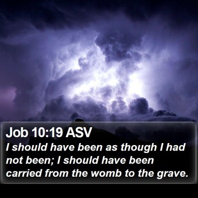 Job 10:19 ASV Bible Verse Image