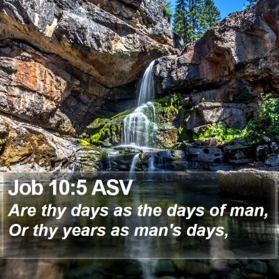 Job 10:5 ASV Bible Verse Image