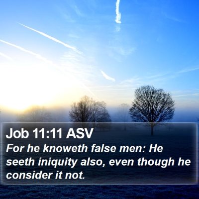 Job 11:11 ASV Bible Verse Image