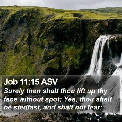 Job 11:15 ASV Bible Verse Image