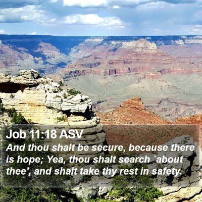 Job 11:18 ASV Bible Verse Image
