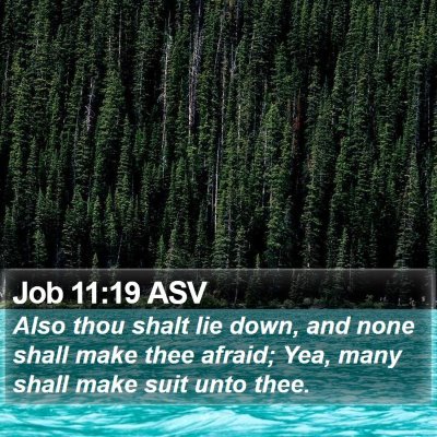 Job 11:19 ASV Bible Verse Image