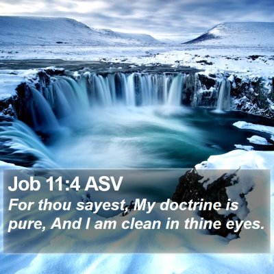 Job 11:4 ASV Bible Verse Image