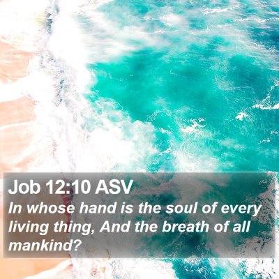 Job 12:10 ASV Bible Verse Image