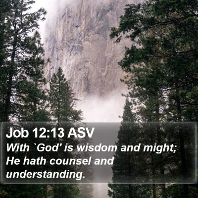 Job 12:13 ASV Bible Verse Image