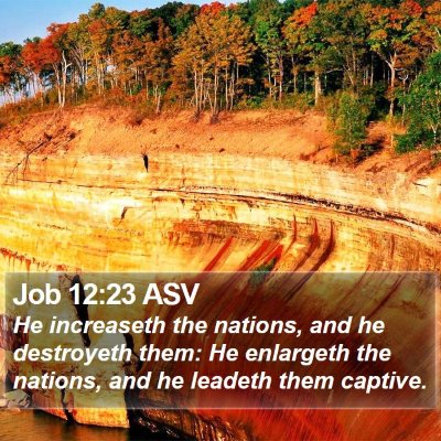 Job 12:23 ASV Bible Verse Image