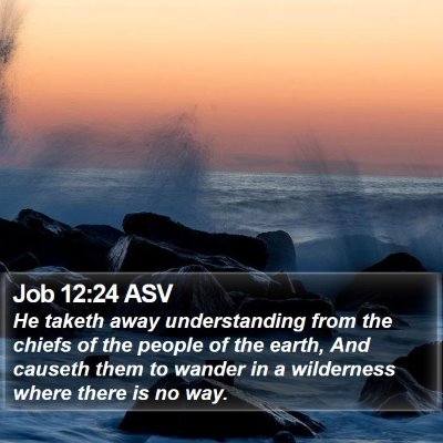 Job 12:24 ASV Bible Verse Image
