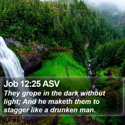 Job 12:25 ASV Bible Verse Image