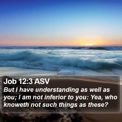 Job 12:3 ASV Bible Verse Image