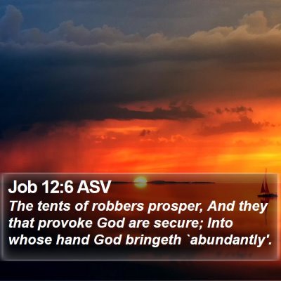 Job 12:6 ASV Bible Verse Image