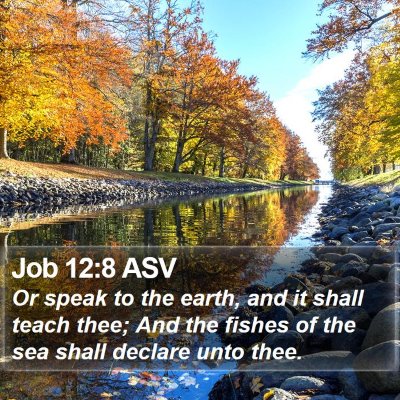 Job 12:8 ASV Bible Verse Image