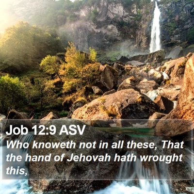 Job 12:9 ASV Bible Verse Image