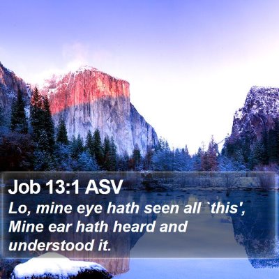 Job 13:1 ASV Bible Verse Image