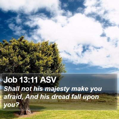 Job 13:11 ASV Bible Verse Image