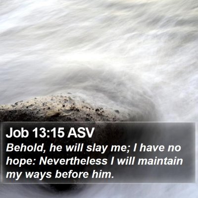 Job 13:15 ASV Bible Verse Image