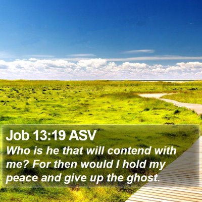 Job 13:19 ASV Bible Verse Image
