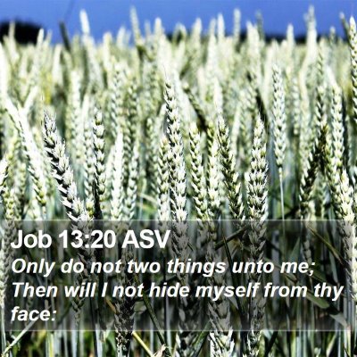 Job 13:20 ASV Bible Verse Image