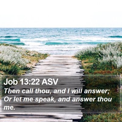 Job 13:22 ASV Bible Verse Image