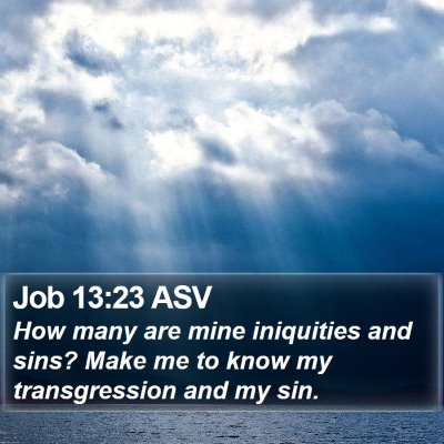 Job 13:23 ASV Bible Verse Image