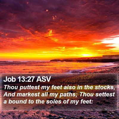 Job 13:27 ASV Bible Verse Image