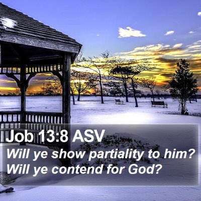 Job 13:8 ASV Bible Verse Image
