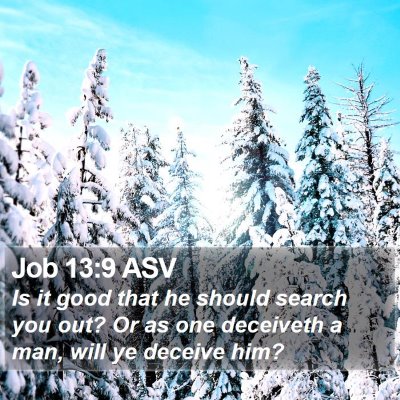 Job 13:9 ASV Bible Verse Image