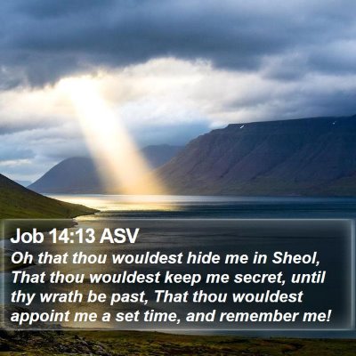 Job 14:13 ASV Bible Verse Image