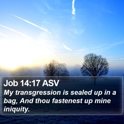 Job 14:17 ASV Bible Verse Image