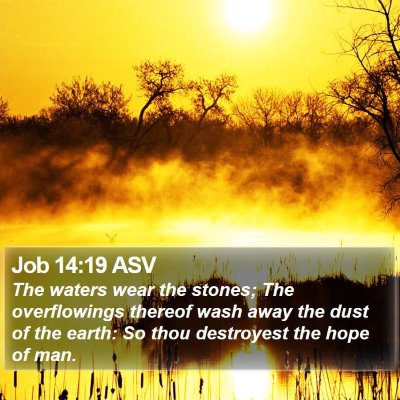 Job 14:19 ASV Bible Verse Image
