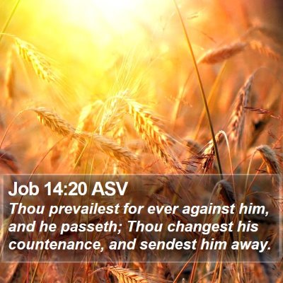 Job 14:20 ASV Bible Verse Image