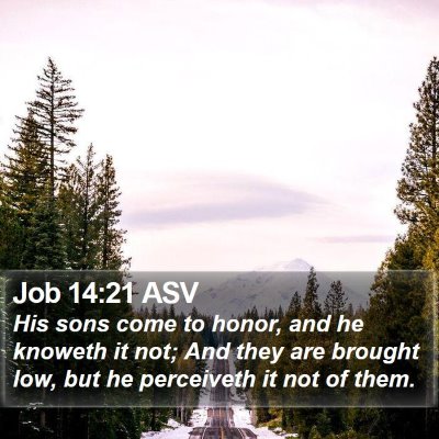 Job 14:21 ASV Bible Verse Image