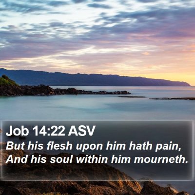 Job 14:22 ASV Bible Verse Image