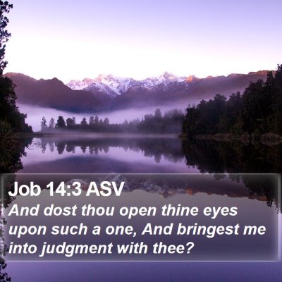 Job 14:3 ASV Bible Verse Image