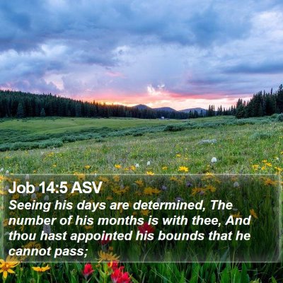 Job 14:5 ASV Bible Verse Image