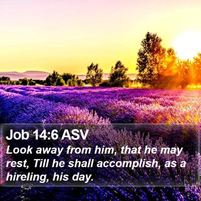 Job 14:6 ASV Bible Verse Image