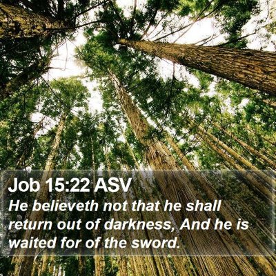 Job 15:22 ASV Bible Verse Image