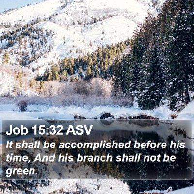 Job 15:32 ASV Bible Verse Image