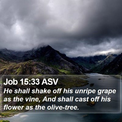 Job 15:33 ASV Bible Verse Image