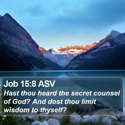 Job 15:8 ASV Bible Verse Image