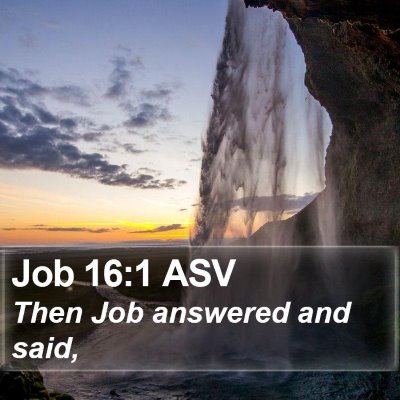 Job 16:1 ASV Bible Verse Image