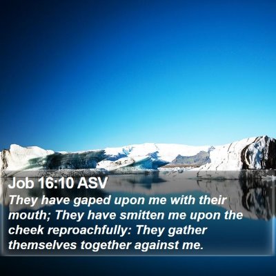 Job 16:10 ASV Bible Verse Image