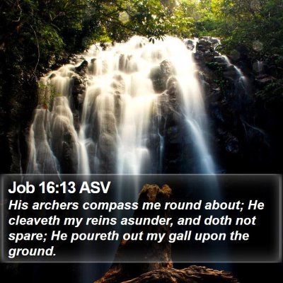 Job 16:13 ASV Bible Verse Image