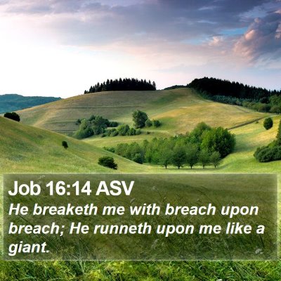 Job 16:14 ASV Bible Verse Image